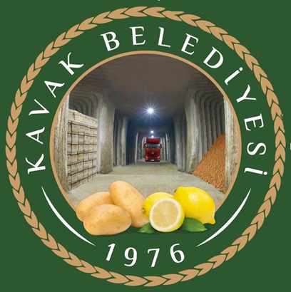 Kavak Belediyesi
