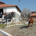 SKB-Bursa-Bulusmasi-21